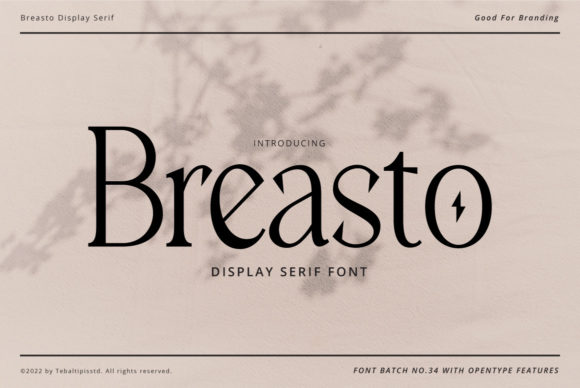 Enhance Your Web Design with Breasto, a Stylish Serif Font