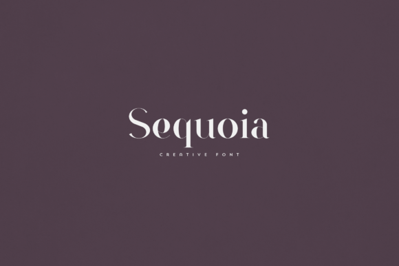 Sequoia: A Versatile Serif Font for Creative Makers