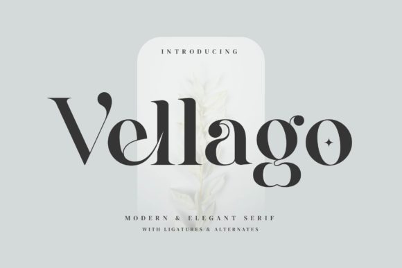 Vellago: The Elegant Serif Font for Modern Campaigns